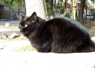 Прикрепленное изображение: DSCF6240.jpg